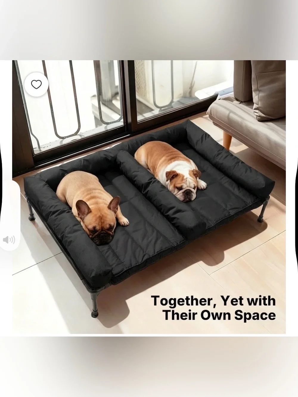 Elevated Dog Bed For Two Dogs